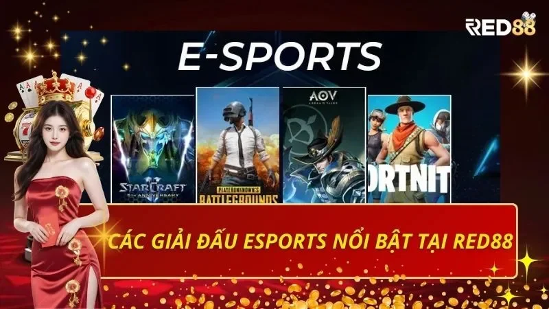 Tổng hợp các giải đấu eSports nổi bật tại Red88