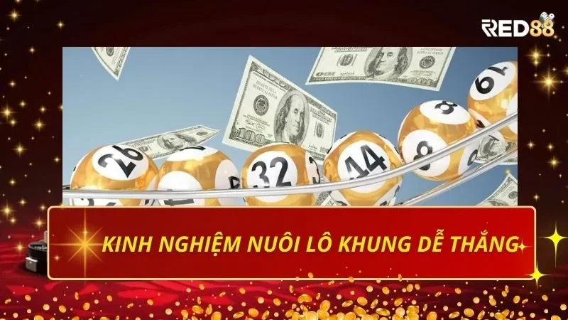 Kinh nghiệm nuôi lô khung tại Red88